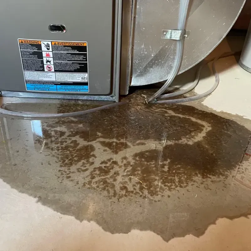 Appliance Leak Cleanup in Marshall County, TN